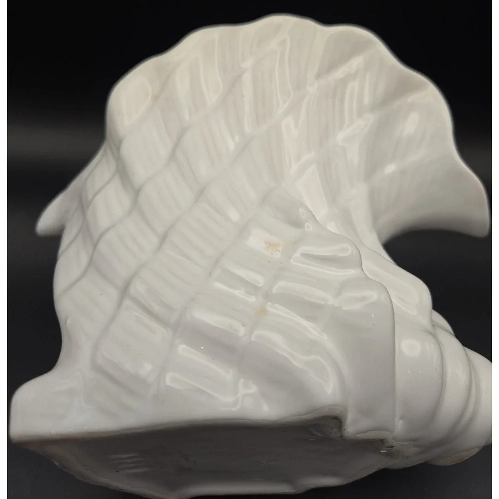 Pereias rare conch